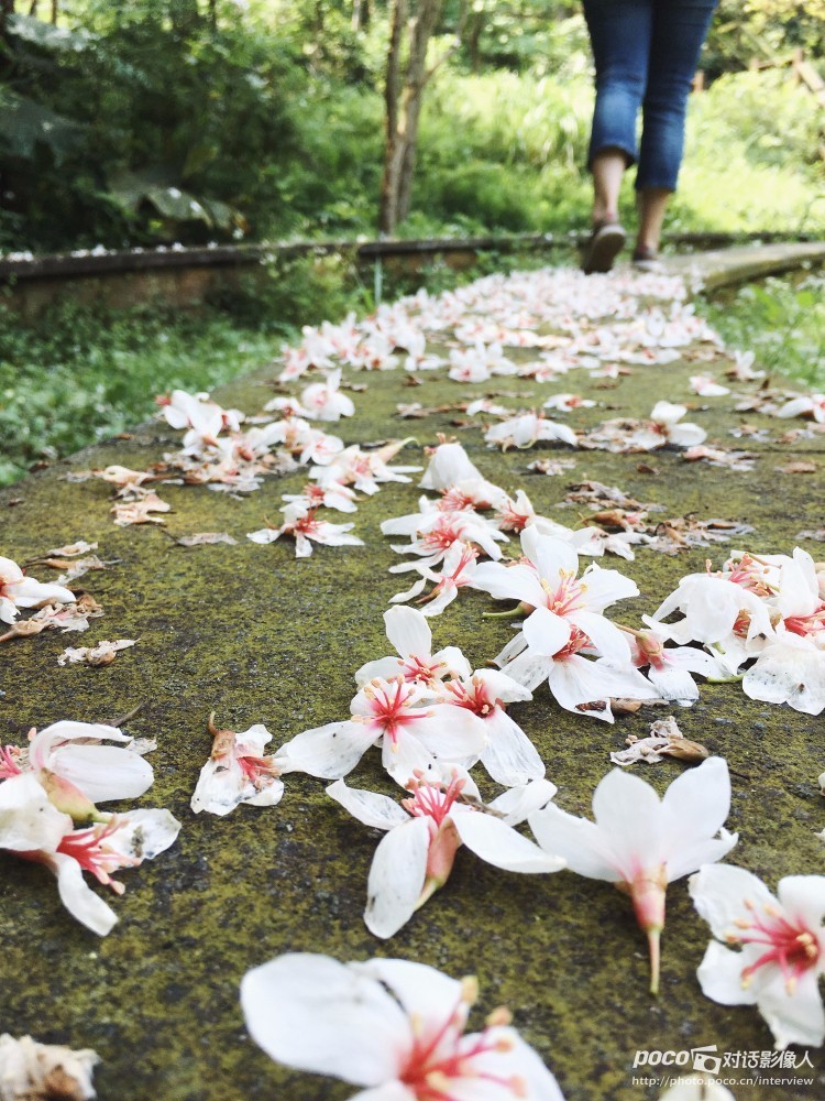 她的台北，如一首悠扬情歌，慢而美｜专访佳仪