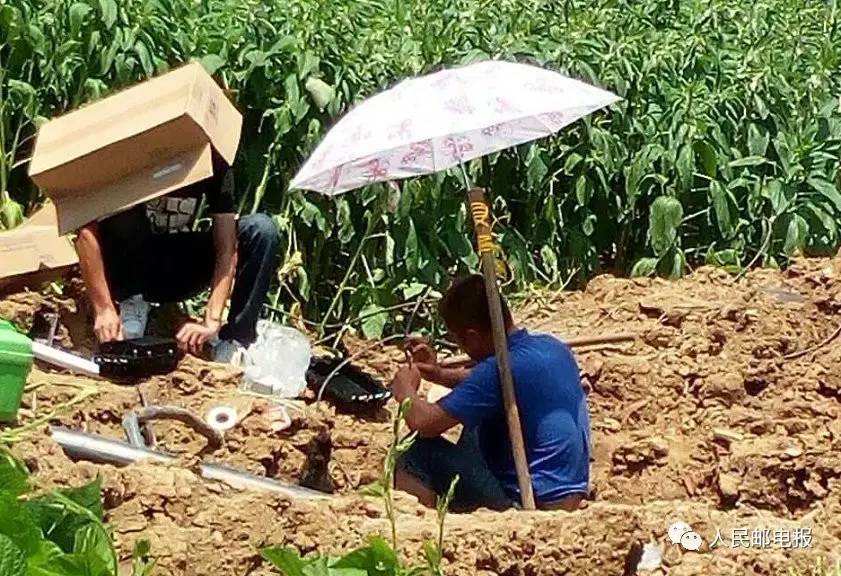 通信抗“日”英雄榜「3」：这个酷热的夏天，每一格信号都来之不易