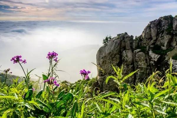 给你7个不得不去兴隆县雾灵山的理由