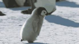 合肥大学生护照,合肥蜀山护照办理