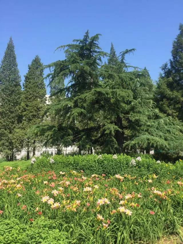 关于园区灭虫通知,昌平灭虫