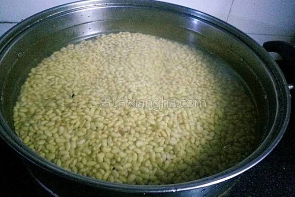 在家自做豆豉方法教程,怎样在家自制豆豉