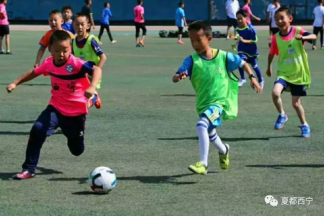 中国少年足球贝贝杯,贝贝杯足球俱乐部比赛