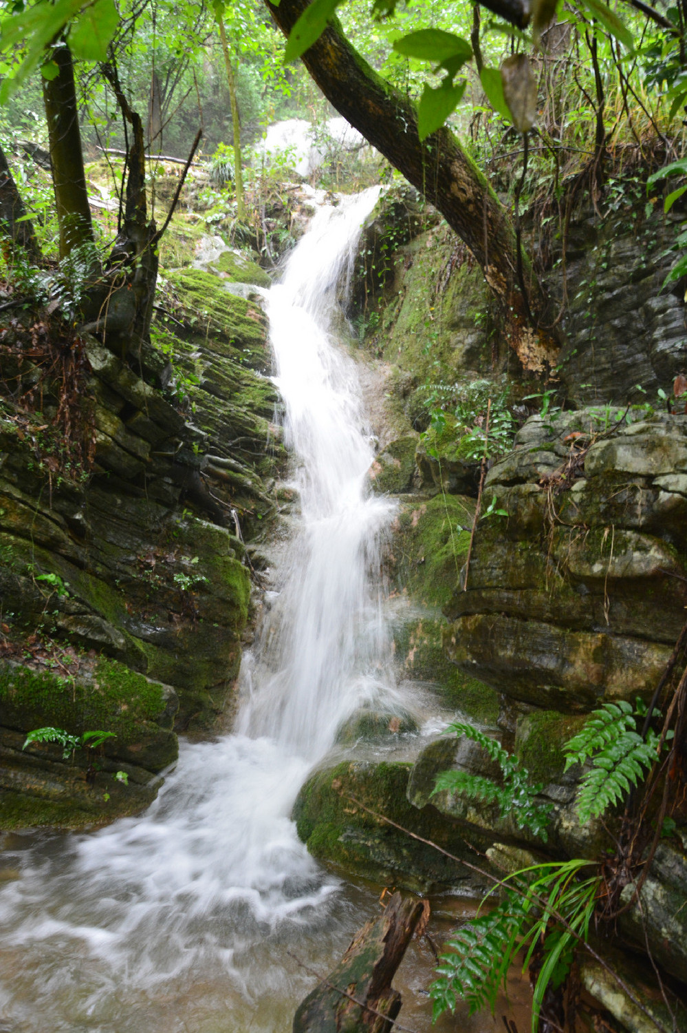 新款阿迪溯溪鞋测评,新款溯溪鞋涉水鞋