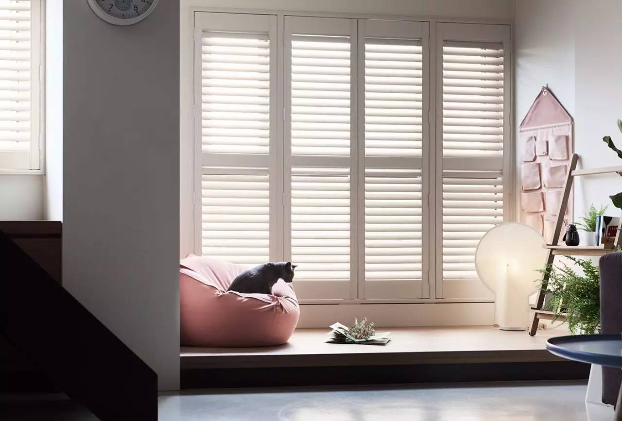 猫奴的生活布置,猫奴的卧室怎么装扮