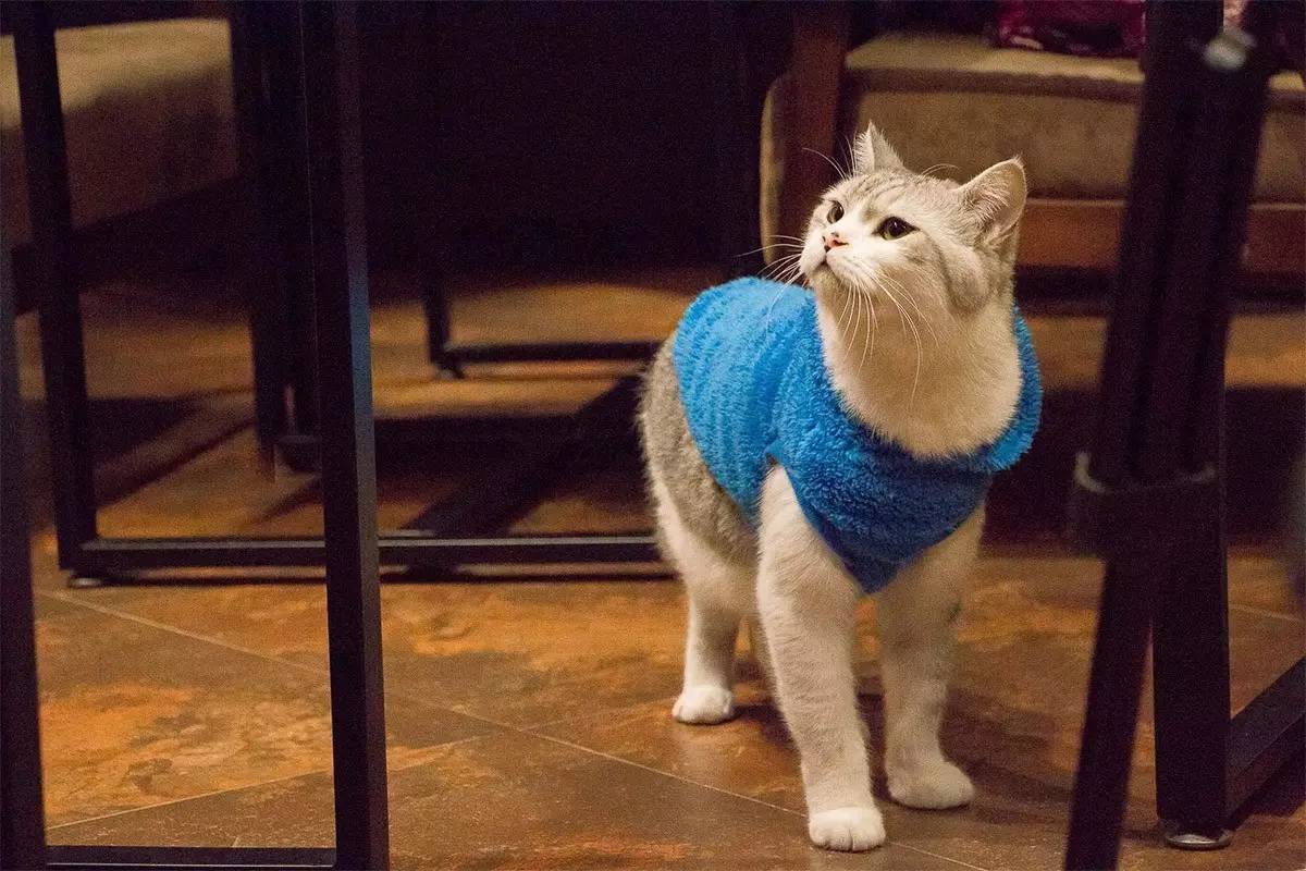 环球潮流图鉴:去澳门,别人都在赌钱,我却跑到美好小店忙里偷闲