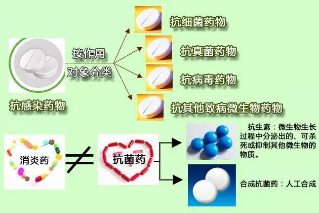 抗生素常见的使用的疑问和误区,抗生素常见误区图片