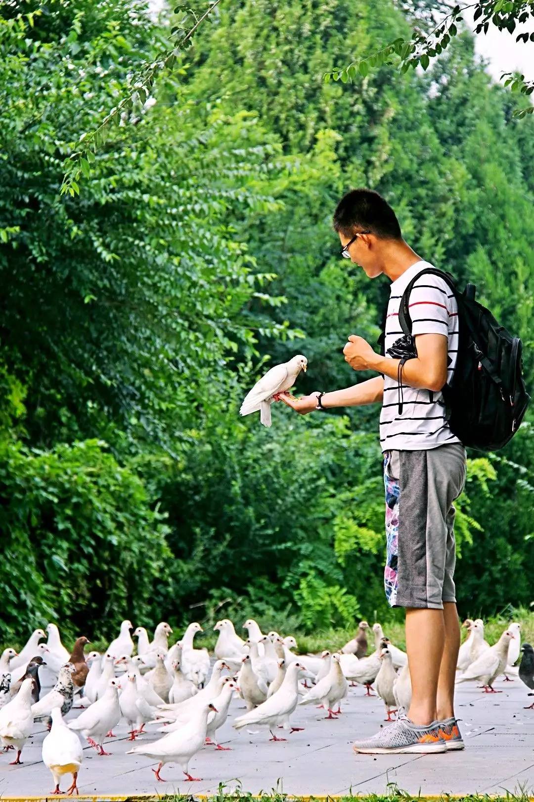 它被称作天上王城，更有中华第一崮美名，薄雾氤氲景色迷人