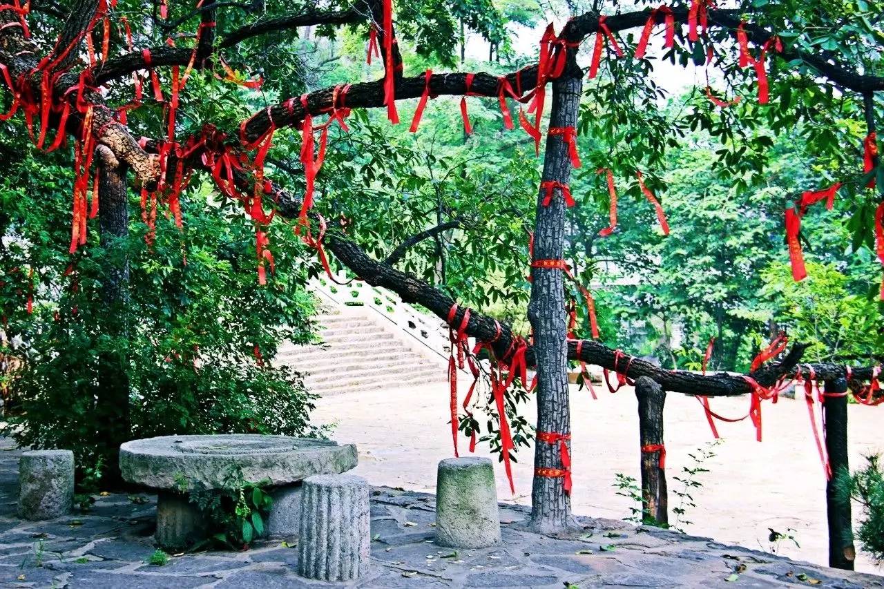 它被称作天上王城，更有中华第一崮美名，薄雾氤氲景色迷人