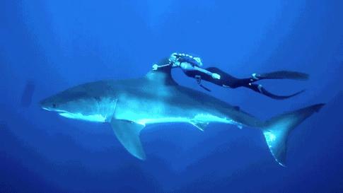 濡欏鐤楁剤,濡欏