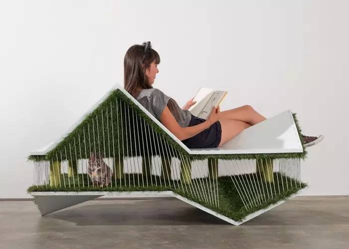 盘点那些实用的宠物生活用品,猫狗最实用的宠物用品