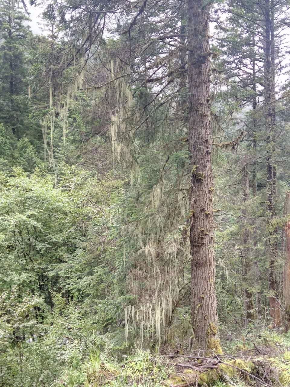 户外小白成长记,户外小白进阶课