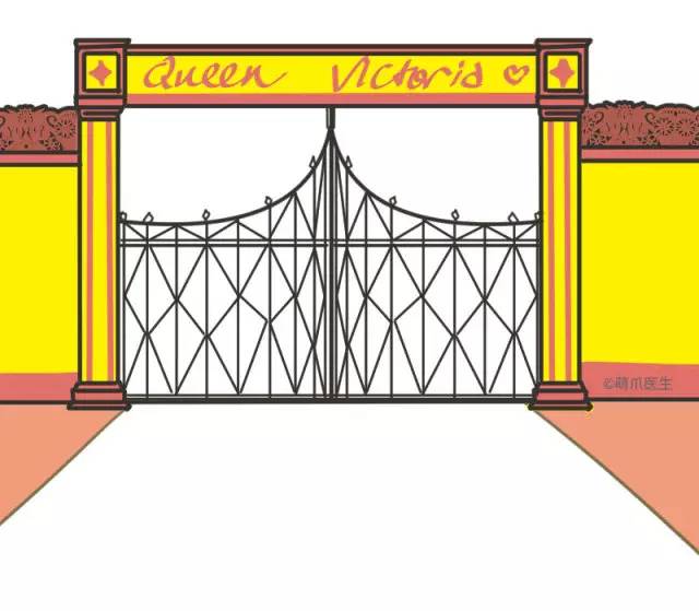 我家博美犬长得怎么样,博美犬8岁是老狗吗