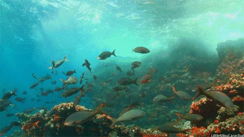 濡欏鐤楁剤,濡欏