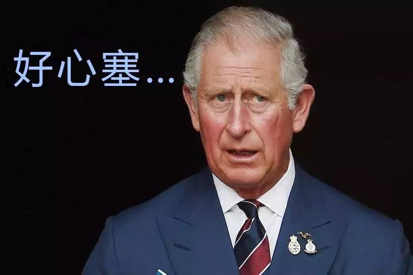 女王“退位”给查尔斯？！网友：能不能跳过他……