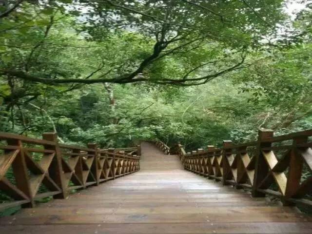 东风韵和可邑小镇哪个好玩,可邑民族文化生态旅游村