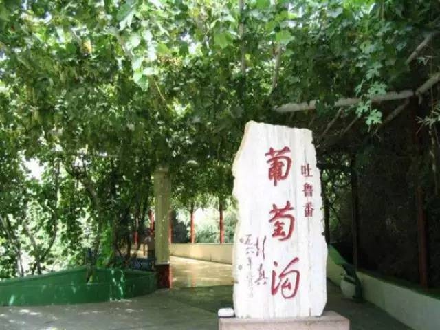 「聚焦基层看检察」吐鲁番站第三棒：文化之都、甜蜜葡城、旅游圣地！一座最干、最热、最甜、最低的城市，高昌区人民检察院来啦！