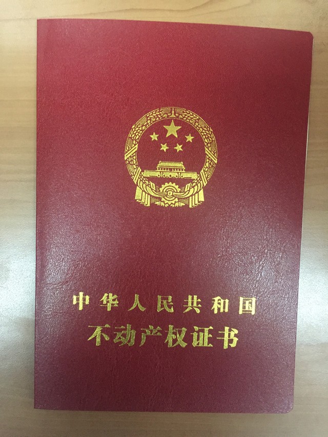 编辑部的日常,编辑部的日常视频