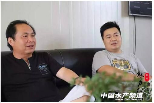 泥鳅养殖技术的最新视频,泥鳅养殖技术和视频