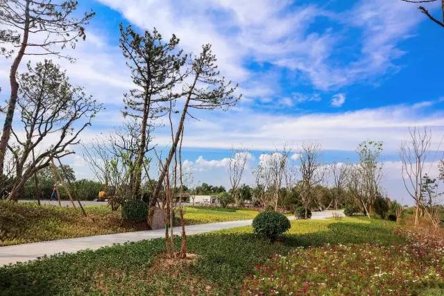 写在沿黄公路韩城段开通之际｜沿黄公路：黄河岸边一条闪亮的经济带