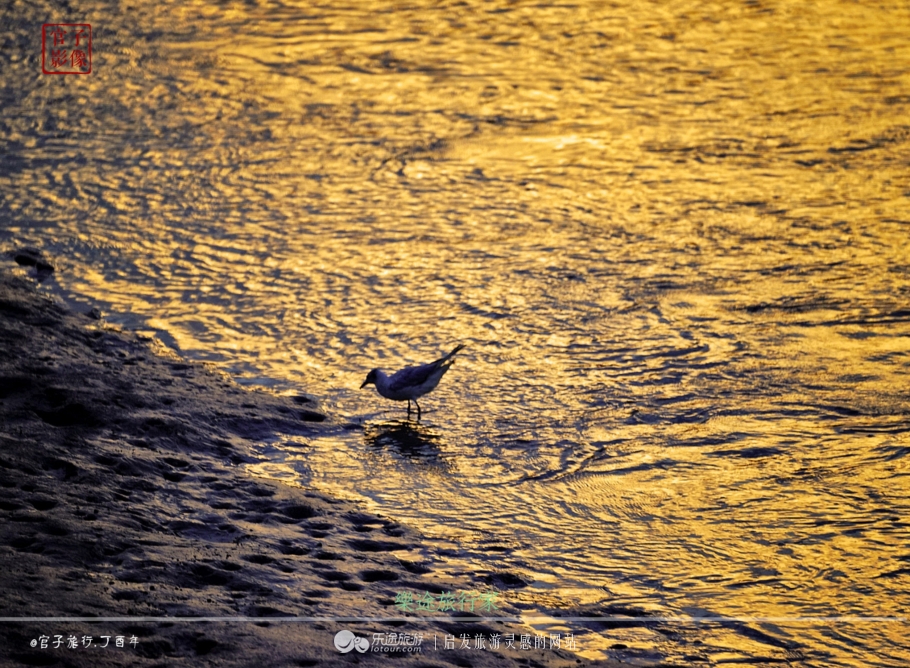 亚洲最大的天然红地毯,世上最出名的红地毯