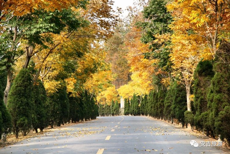 游玩中国大竹海,中国大竹海旅游
