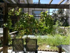 恒大丽宫5000平楼王,恒大丽宫仿古别墅