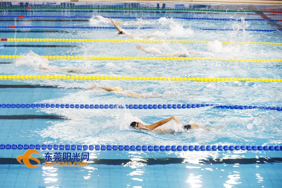 东莞市第十届市运会,东莞市2023年市运会