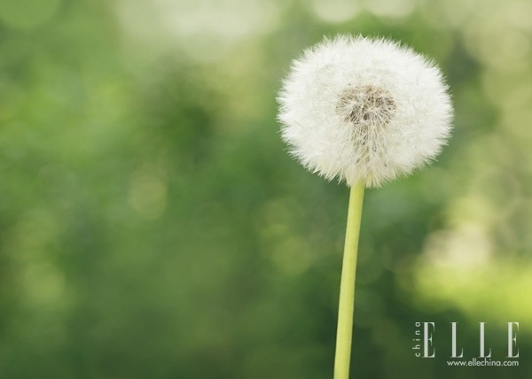 异地恋要怎么才能维持下去,异地恋要怎么维持才能长久