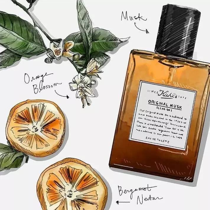 「这个香水有麝香用了会流产的!」|拜托,别再闹这种国际笑话了好吗?