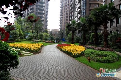 吉安鹭洲观澜航拍,吉安鹭洲观澜地址