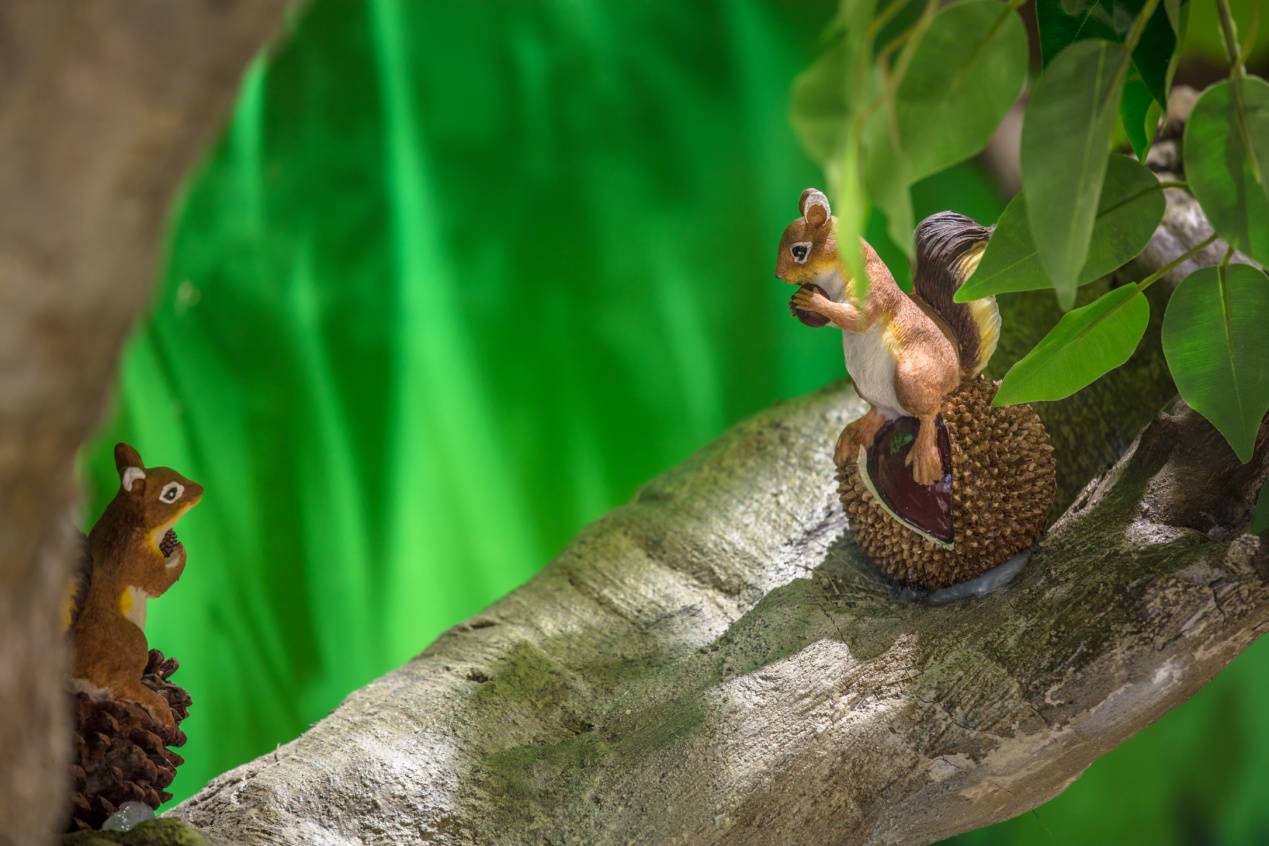 镇江新吾悦广场,镇江市中心吾悦