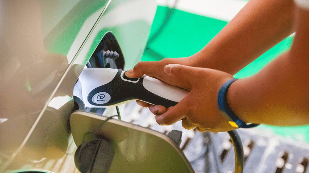 免费的午餐好吃吗,免费的午餐便宜吗