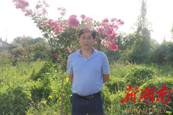 淳化土桥美丽乡村,江宁区土桥美丽乡村