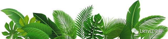 沈阳医改最新消息今天,沈阳市医改门诊报销政策