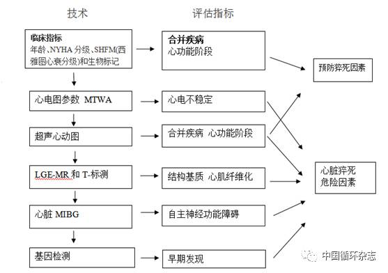 「ESC2017」刘文玲:EF值降低是猝死危险分层的绊脚石?