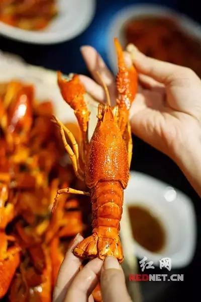 长沙吃虾网红店在哪里,长沙河西哪家油爆虾最好吃