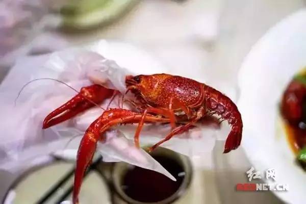 长沙河西哪家油爆虾最好吃,长沙十大最好吃的口味虾店推荐