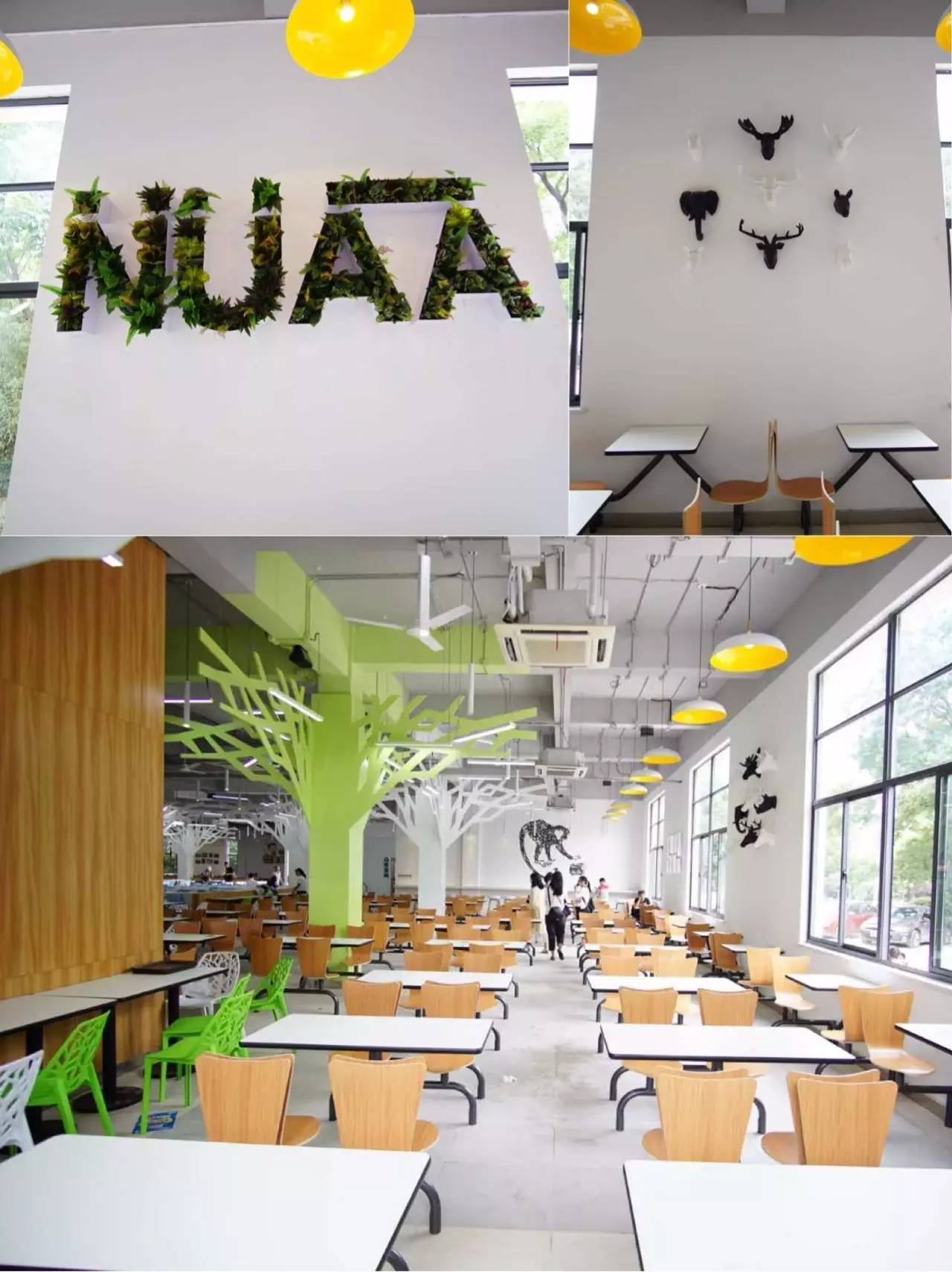 南航河南公司空勤食堂,南航食堂最新状况