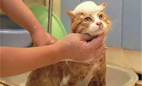 如何能做好一个美容顾问,如何做好一名合格的美容顾问