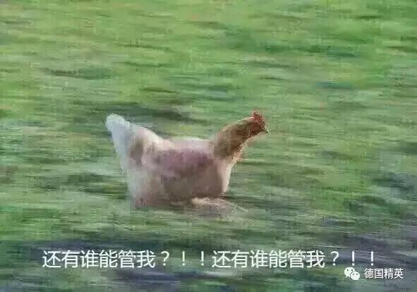 娣樺疂鍙互娴峰鐩撮偖,鍥藉娣樺疂鍖呴偖