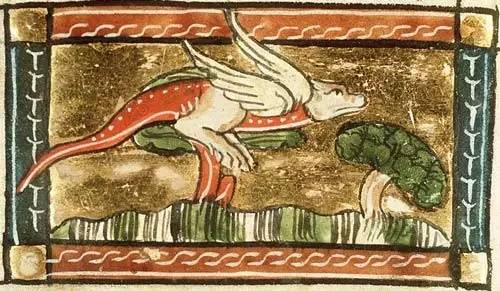 中世纪的龙和你想的可能不太一样