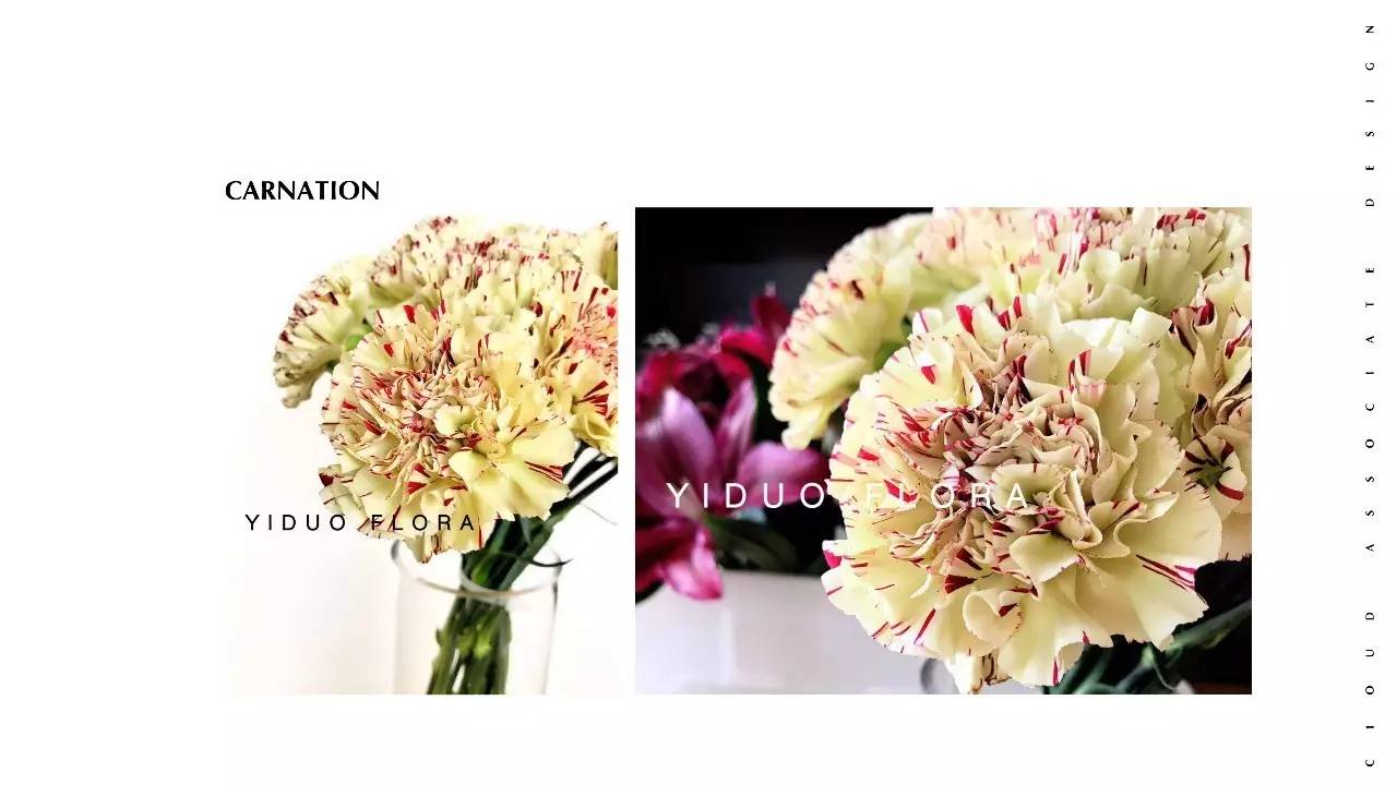 软装设计师色彩搭配大全,软装设计师如何搭配色彩