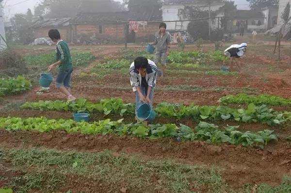 这群15岁就会结婚的女孩，一边捡垃圾一边踢球，竟连续三年勇夺世界冠军