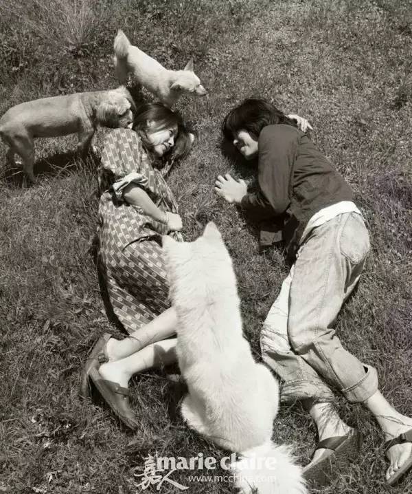 孝利家的民宿iu哪一期,孝利家民宿客人对iu的评价