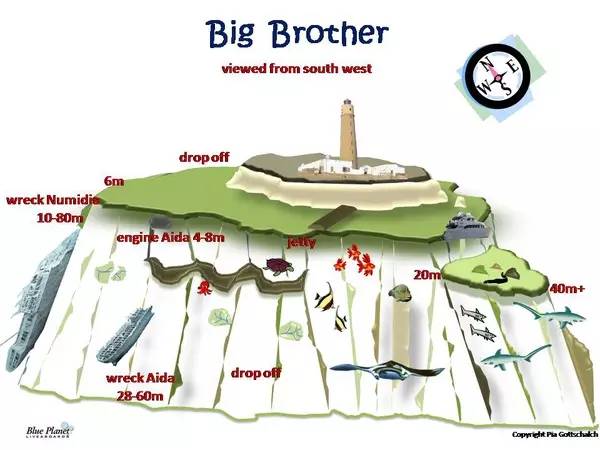 船宿潜水要什么水平,船宿潜水推荐