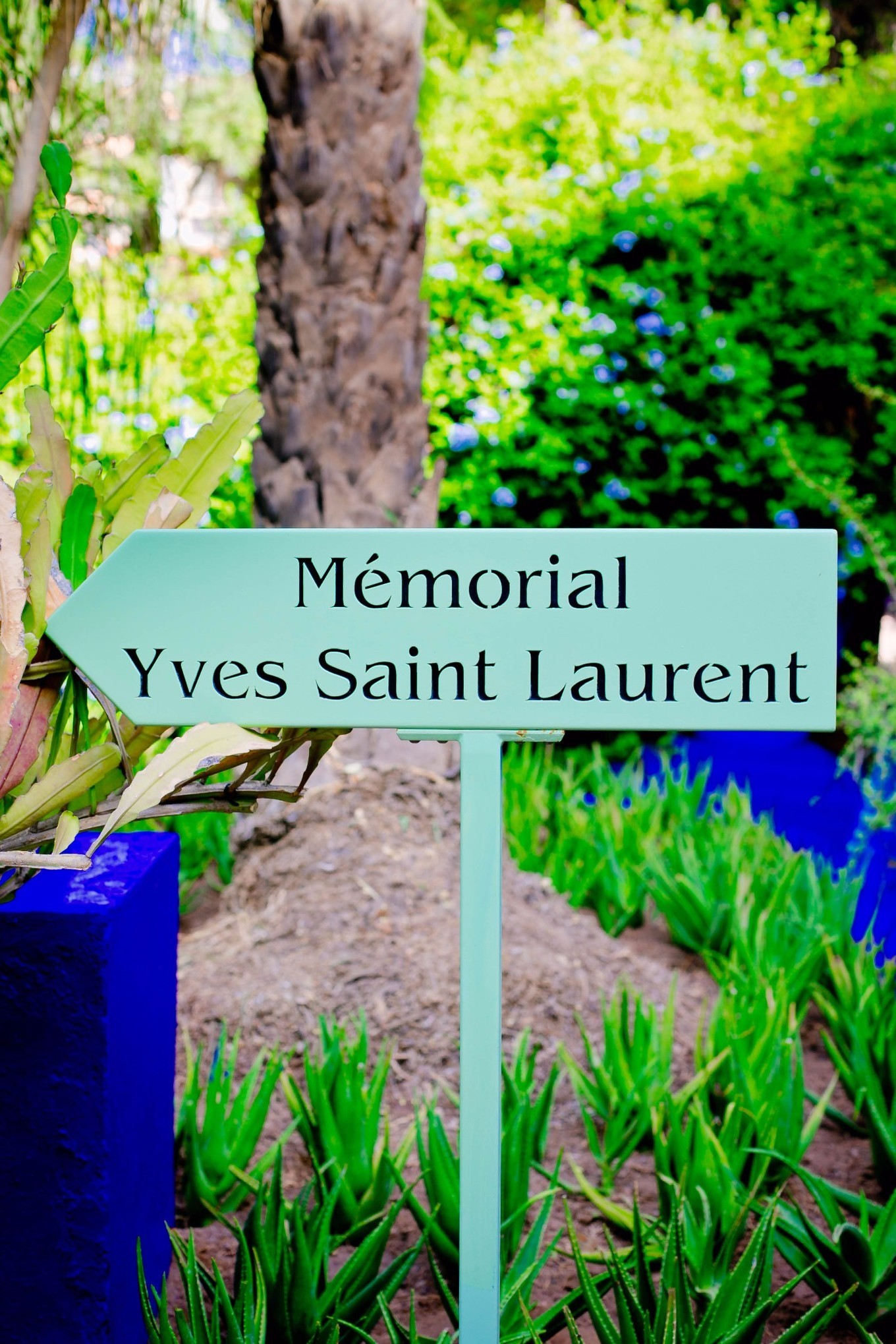 目的地｜坐在五彩的飞毯上，走进摩洛哥的一千零一夜