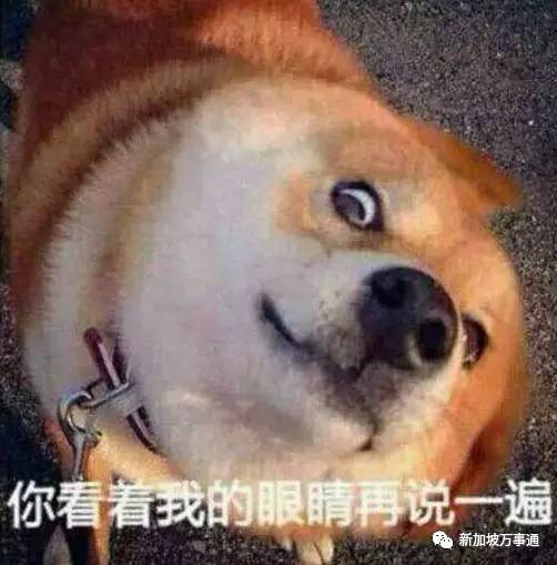 在新加坡有哪些注意事项 (新加坡最容易被问的问题)