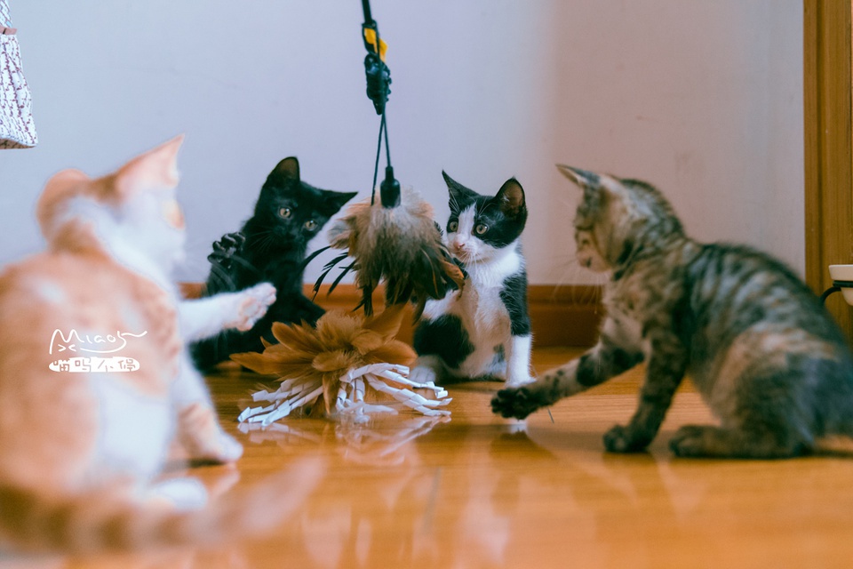 豆瓣日记10月,豆瓣日记