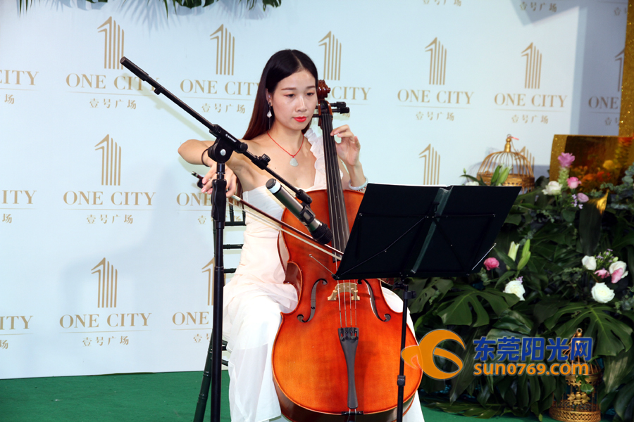 东莞海德壹号广场新开的展会,南城海德壹号广场